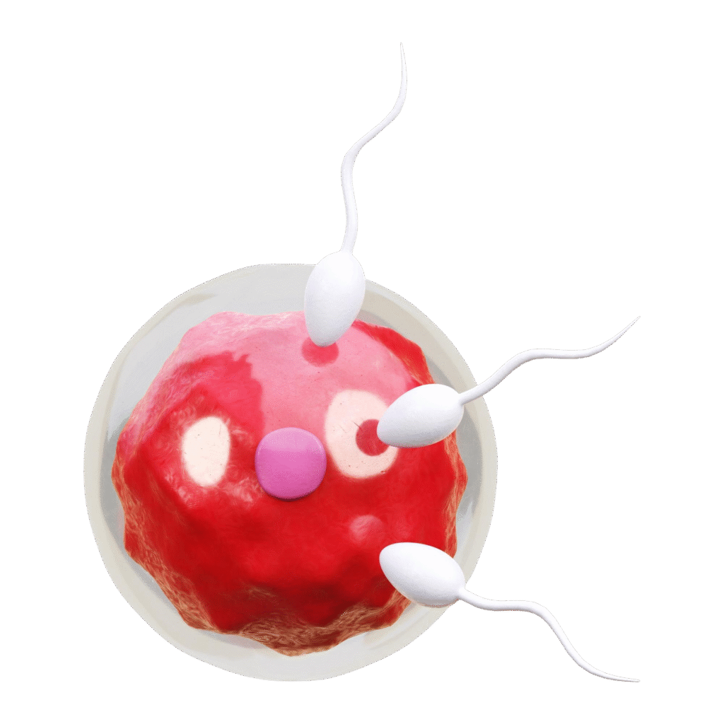 fertilization-3d-icon
