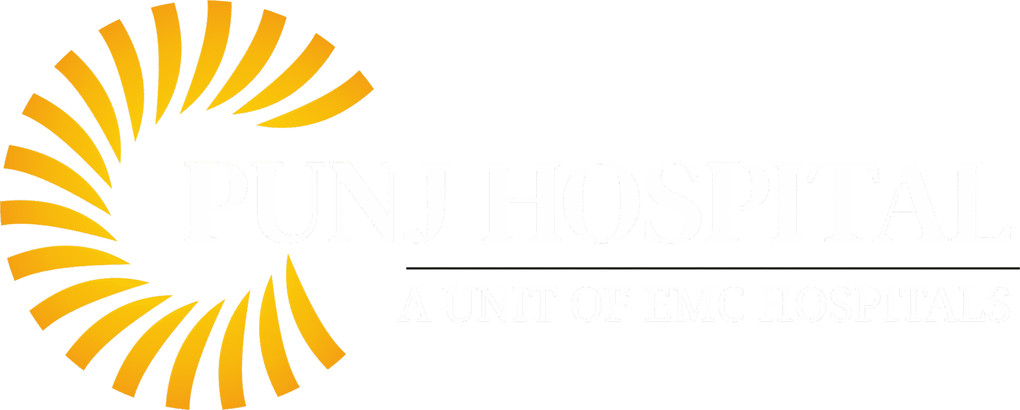 punj hospital logo white